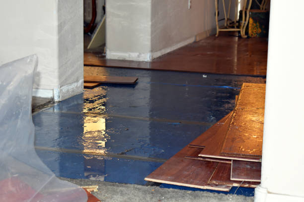Professional Flood Cleanup technician working in Line Lexington, PA